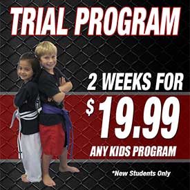2 weeks kids martial arts lessons for $20