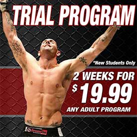 Try Adult Martial Arts Free