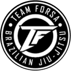 logo-team-forsa